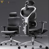  Ghế Công Thái Học Manson Iris Matrex 