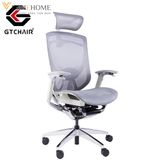  Ghế Công Thái Học GTChair Ifit Smile 