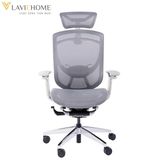  Ghế Công Thái Học GTChair Ifit Smile 
