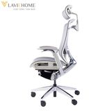  Ghế Công Thái Học GTChair Ifit Smile 