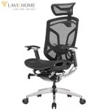  Ghế Công Thái Học GTChair Dvary Butterfly 