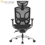 Ghế Công Thái Học GTChair Dvary Butterfly 
