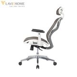  Ghế Công Thái Học Manson Butterfly Wing 