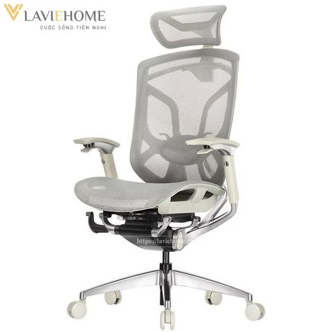  Ghế Công Thái Học GTChair Dvary Butterfly 