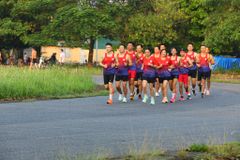 Áo Eliteteam Olympic (Tshirt)