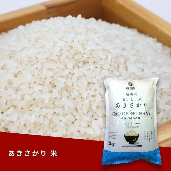 早掘り筍 2kg fit=scale-down,w=1200