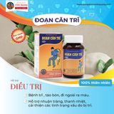  Đoạn Căn Trĩ Vĩnh Quang 