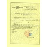  Bổ Tâm An Thần Vĩnh Quang 