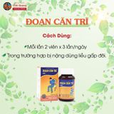  Đoạn Căn Trĩ Vĩnh Quang 