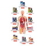  Xuân Nữ Bổ Huyết Vĩnh Quang Viên Nang 