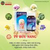  Combo 3 Hộp Tỷ Bửu Nang VĨNH QUANG - Viêm xoang, Viêm mũi dị ứng, Nghẹt mũi, Chảy nước mũi, Nhức đầu - Hộp 60 viên 
