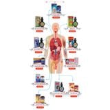  Đại Tràng Vĩnh Quang 