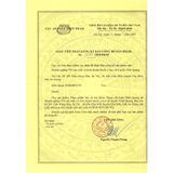  Thoái Cốt Hoàn Vĩnh Quang 