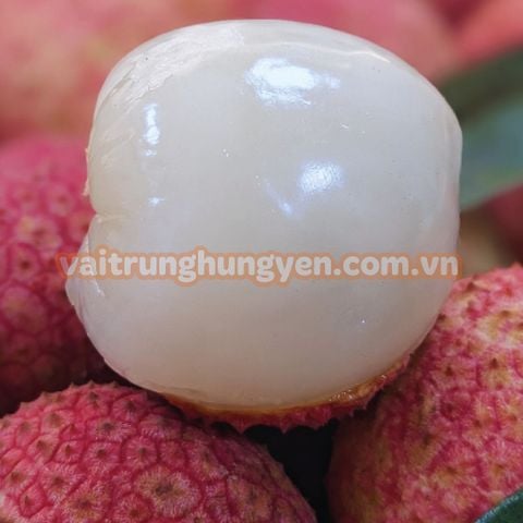 Vải Trứng Hưng Yên