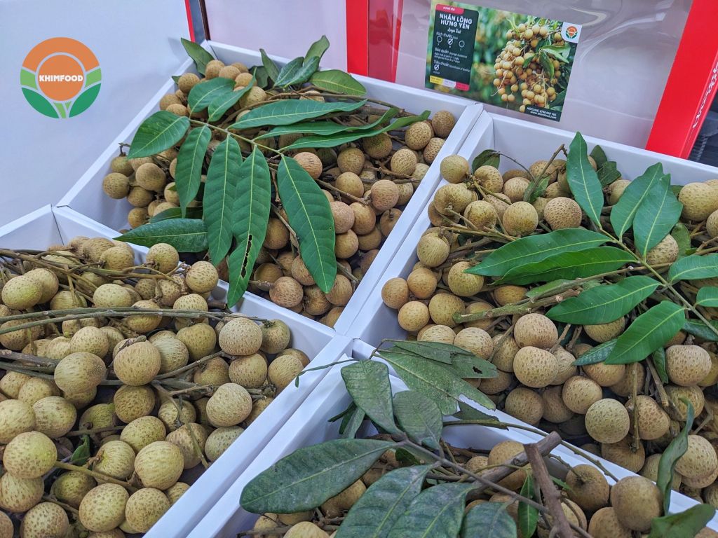 Nhãn Lồng Hưng Yên