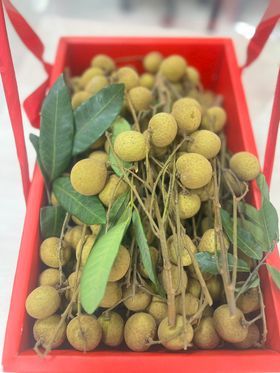 Nhãn Đường Phèn