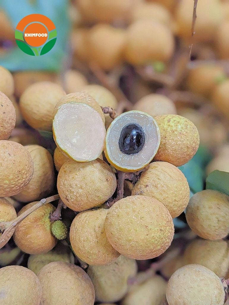 Nhãn Đường Phèn