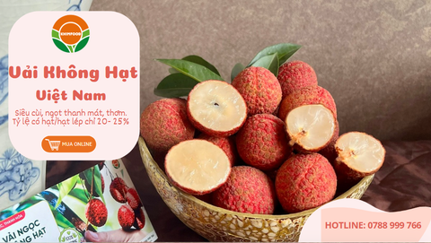 Vải Ngọc Không Hạt