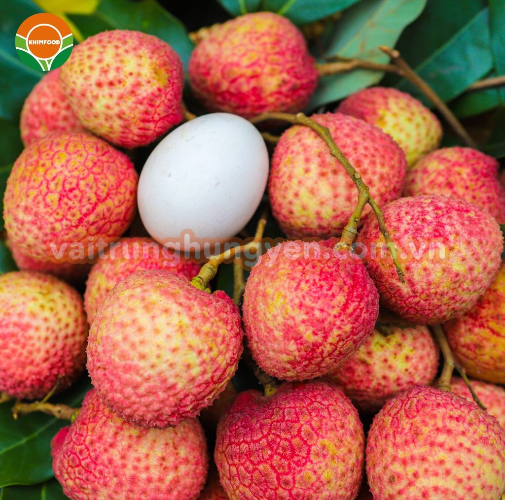 Vải Trứng Hưng Yên