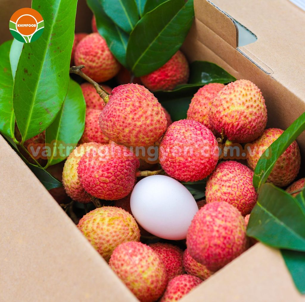 Vải Trứng Hưng Yên