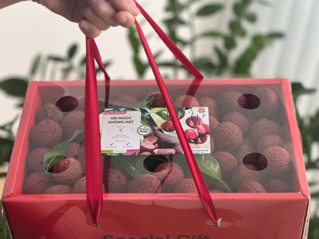 Vải Ngọc Không Hạt