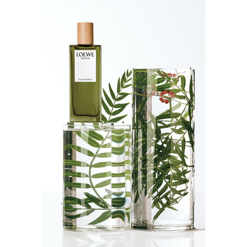 Nước hoa nam Loewe Esencia EDP Pour Homme – ShinByLin Perfumes & Cosmetics