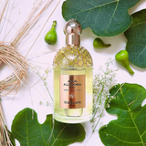  Nước hoa unisex Guerlain Aqua Allegoria Forte Nerolia Vetiver EDP 125ML 