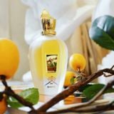  Nước hoa nam Xerjoff Naxos EDP 100ML 