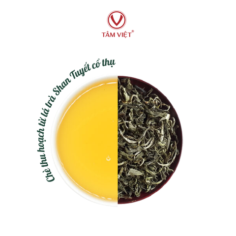  Trà Shan Tuyết 