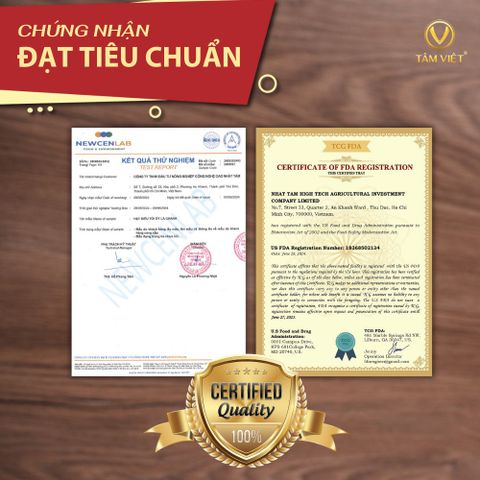  HẠT ĐIỀU TẨM VỊ TỎI ỚT LÁ CHANH - ĂN VẶT HEALTHY ORGANIC - HẠT DINH DƯỠNG KHÔNG CHẤT PHỤ GIA 