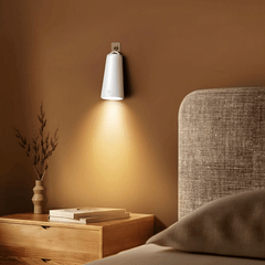 Đèn Để Bàn Đa Năng 4in1 Desk Lamp WiWU Wi-D8