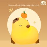 Đèn led RGB thư giãn dễ thương giao diện capybara chilling | CHILLPYBARA