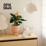 Chậu cây gốm sứ để bàn phong cách hiện đại | Chậu cây chất liệu gốm sứ trang trí bàn làm việc