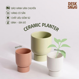 Chậu cây gốm sứ để bàn phong cách hiện đại | Chậu cây chất liệu gốm sứ trang trí bàn làm việc