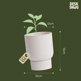 Chậu cây gốm sứ để bàn phong cách hiện đại | Chậu cây chất liệu gốm sứ trang trí bàn làm việc