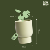 Chậu cây gốm sứ để bàn phong cách hiện đại | Chậu cây chất liệu gốm sứ trang trí bàn làm việc