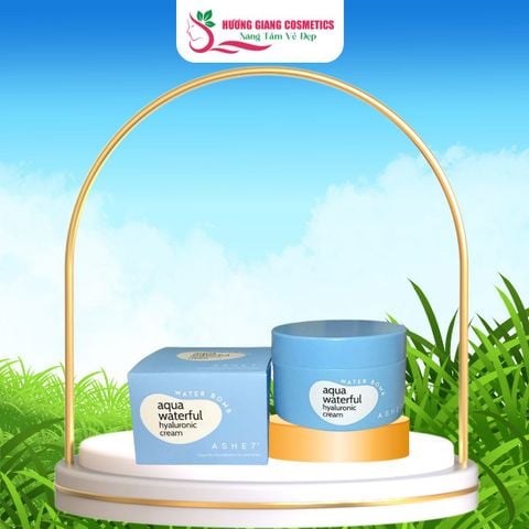 Kem Dưỡng Da Ashseven AQUA WATERFUL Hyaluronic Cream ASHE7 100 ml