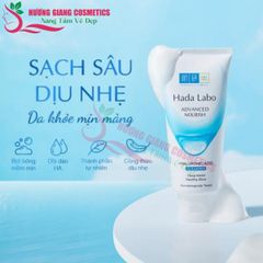 Sữa Rửa Mặt Tinh Chất Hyaluronic Hada Labo Nhật Bản  Cho Da Thường