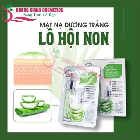 Mặt Nạ Dưỡng Trắng Da Lô Hội Non The Nature Book Hàn Quốc 25gx10