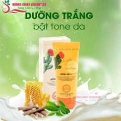 Kem chống nắng hoàn hảo hằng ngày The Nature Book Hàn Quốc 70ml