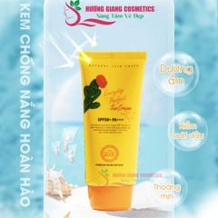Kem chống nắng hoàn hảo hằng ngày The Nature Book Hàn Quốc 70ml
