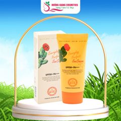 Kem chống nắng hoàn hảo hằng ngày The Nature Book Hàn Quốc 70ml