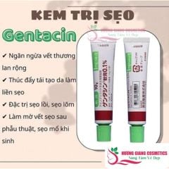 Kem Dưỡng Gentacin Nhật Hỗ Trợ Làm Mờ Sẹo Lồi Lõm 10g