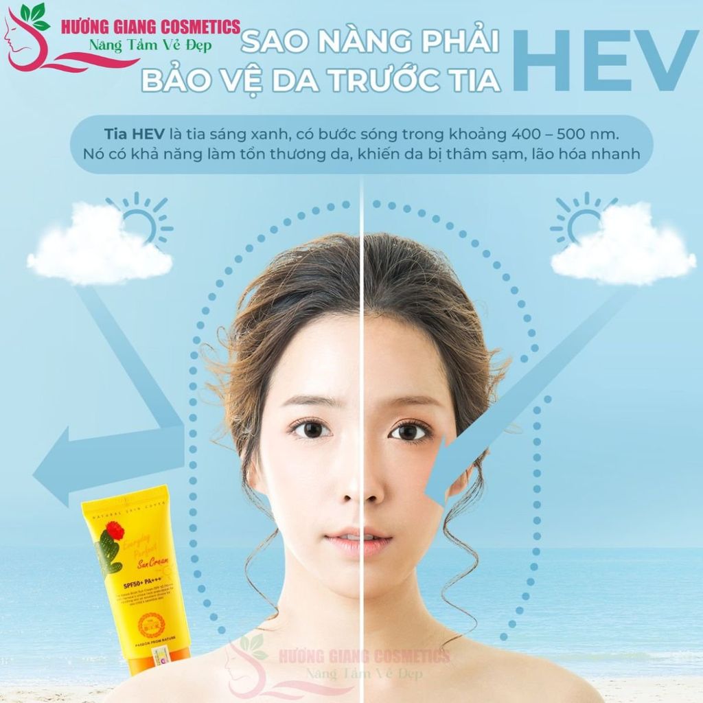 Kem chống nắng hoàn hảo hằng ngày The Nature Book Hàn Quốc 70ml