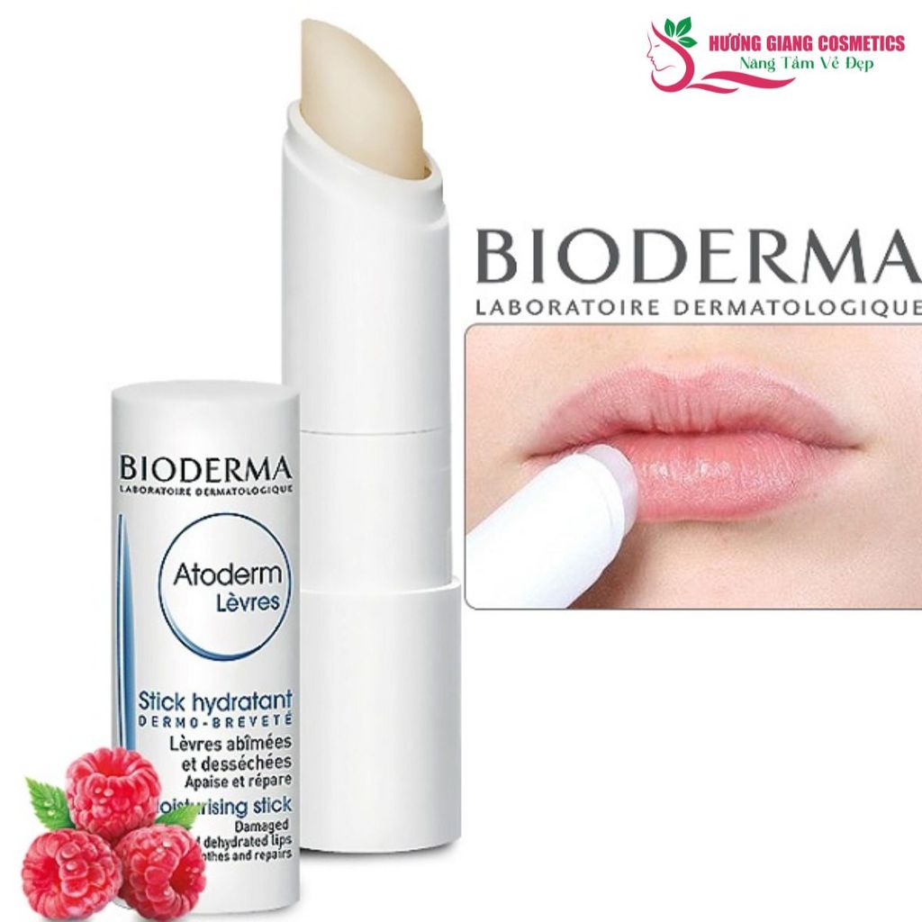 Son Dưỡng Bioderma Atoderm Levres 4g