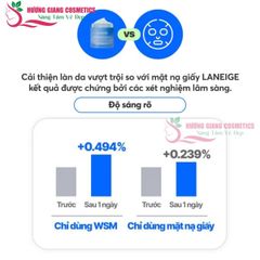 Mặt Nạ Ngủ Dưỡng Da Căng Mịn Laneige Water Sleeping Mask EX 15ml