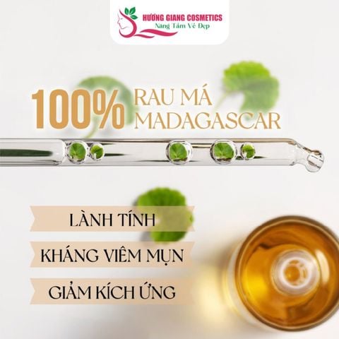 Serum Tinh Chất Rau Má Trị Mụn Skin1004 CENTELLA AMPOULE 55ml