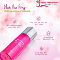 Nước Hoa Hồng Chiết Xuất Nhau Thai Cừu The Nature Book Placenta-120ml