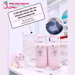 Dầu Gội Xả Hương Nước Hoa, Phục Hồi Tóc Biotin Hồng 500ml