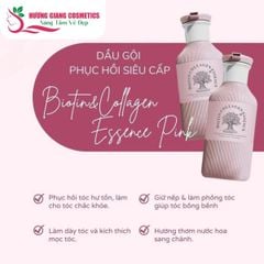 Dầu Gội Xả Hương Nước Hoa, Phục Hồi Tóc Biotin Hồng 500ml